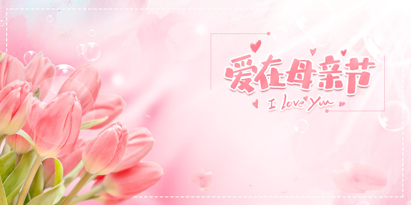  爱在母亲节郁金香温馨粉色鲜花背景