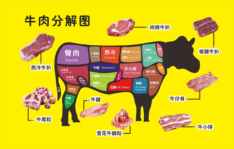 牛肉部位分解全图矢量设计图