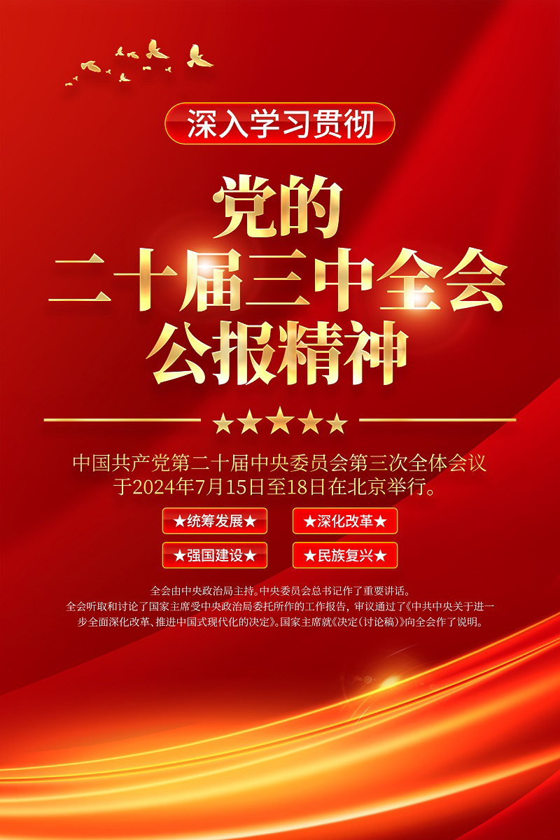 学习贯彻党的二十届三中全会公报精神党建海报组图