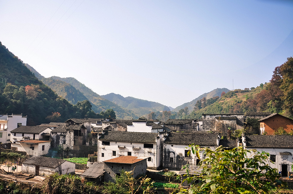 美丽乡村田园风景