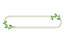 植物藤蔓春天标题框
