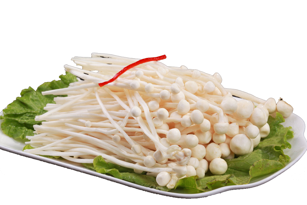 金针菇食材