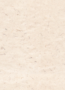 米白色特殊纸纹材质贴图素材图片