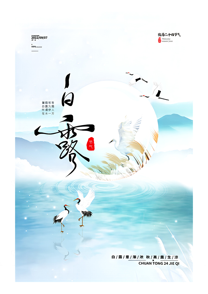 简约传统24节气白露海报白露节气海报