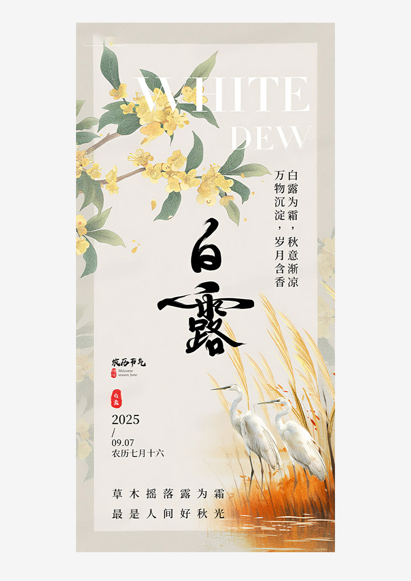 简约二十四节气白露白鹭芦苇桂花海报