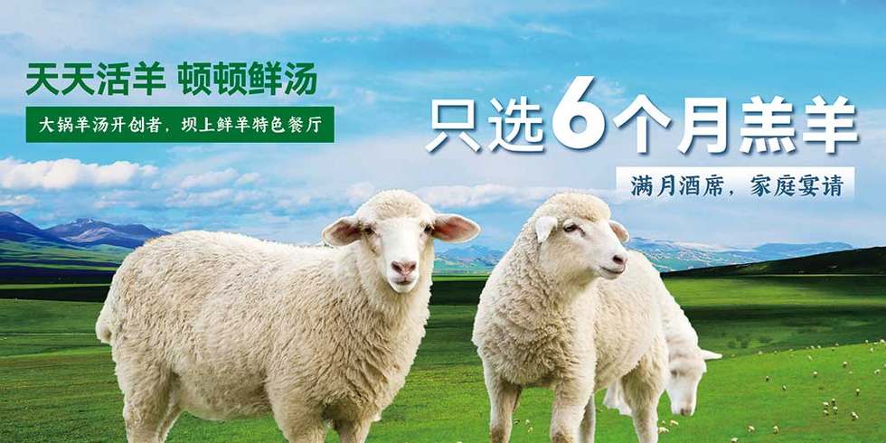 草原蓝天白云羊群