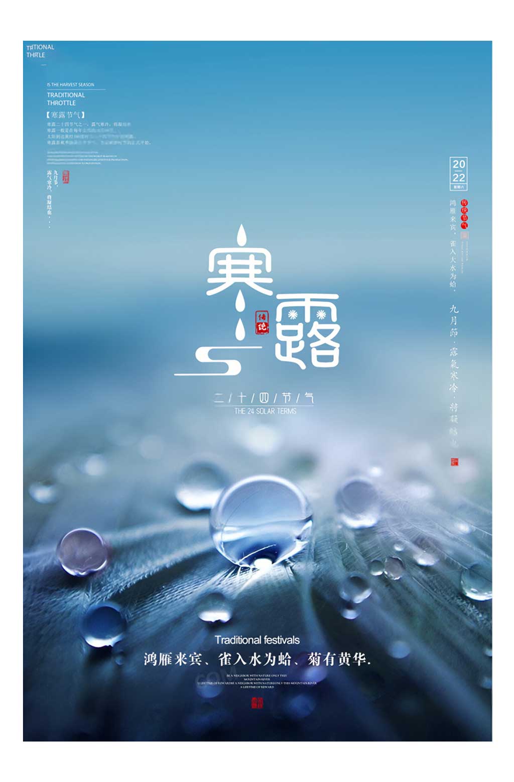 简约寒露24节气宣传海报