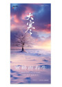 简约实拍雪地二十四节气大寒冬日雪景海报