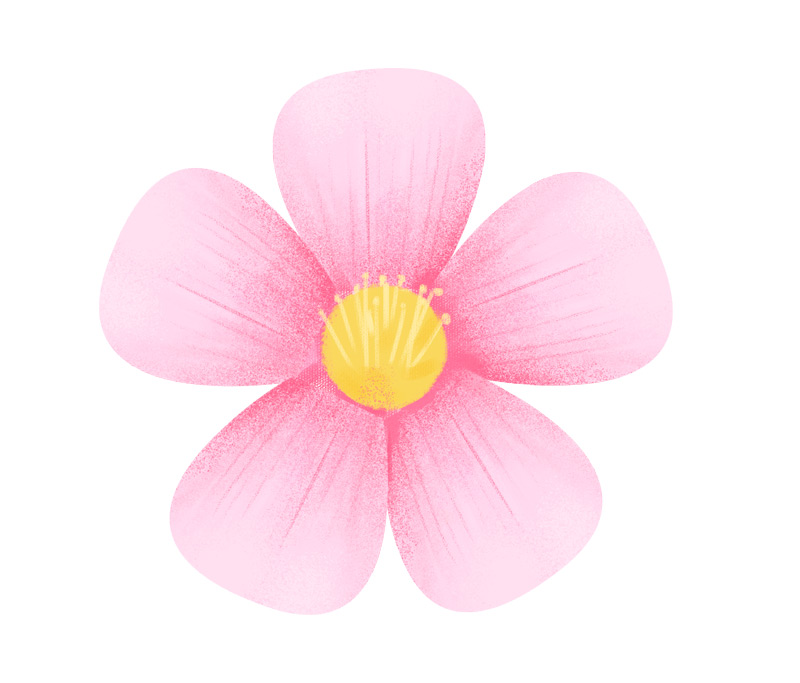 元素小红花小清新手绘花朵植物春天简约