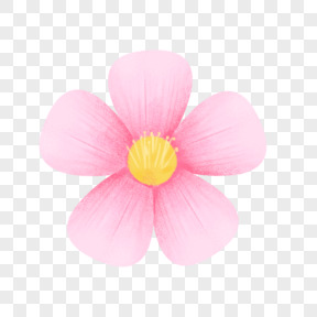 元素小红花小清新手绘花朵植物春天简约