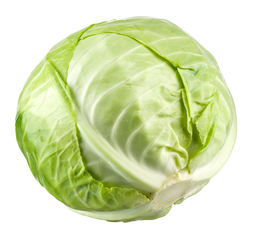 卷心菜