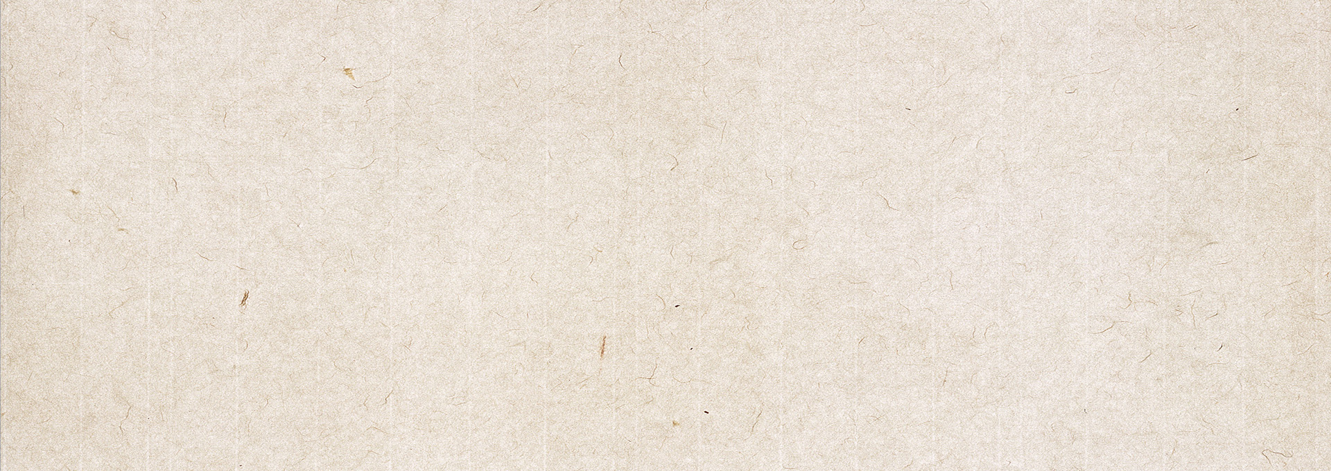 纸纹背景banner