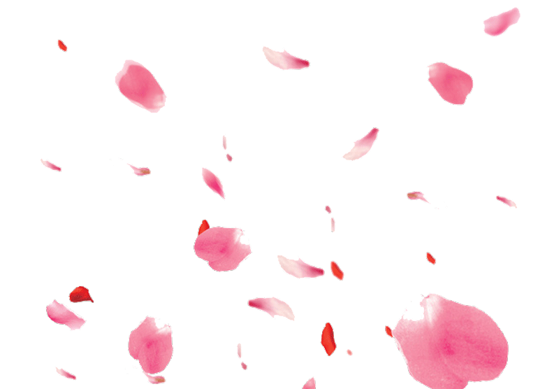 散乱漂浮桃花花瓣
