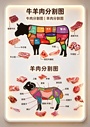 牛羊肉分割图发光灯箱图片[独家作品]
